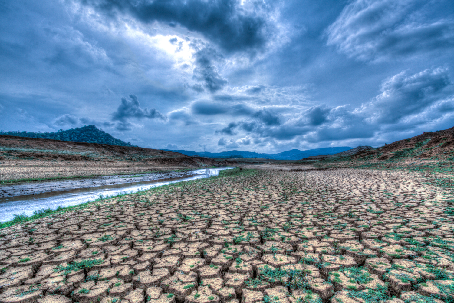 Learning to Build Resilience in the Face of "Climate Anxiety"